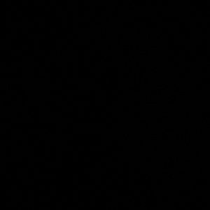 Meet your Posher, Lorelai